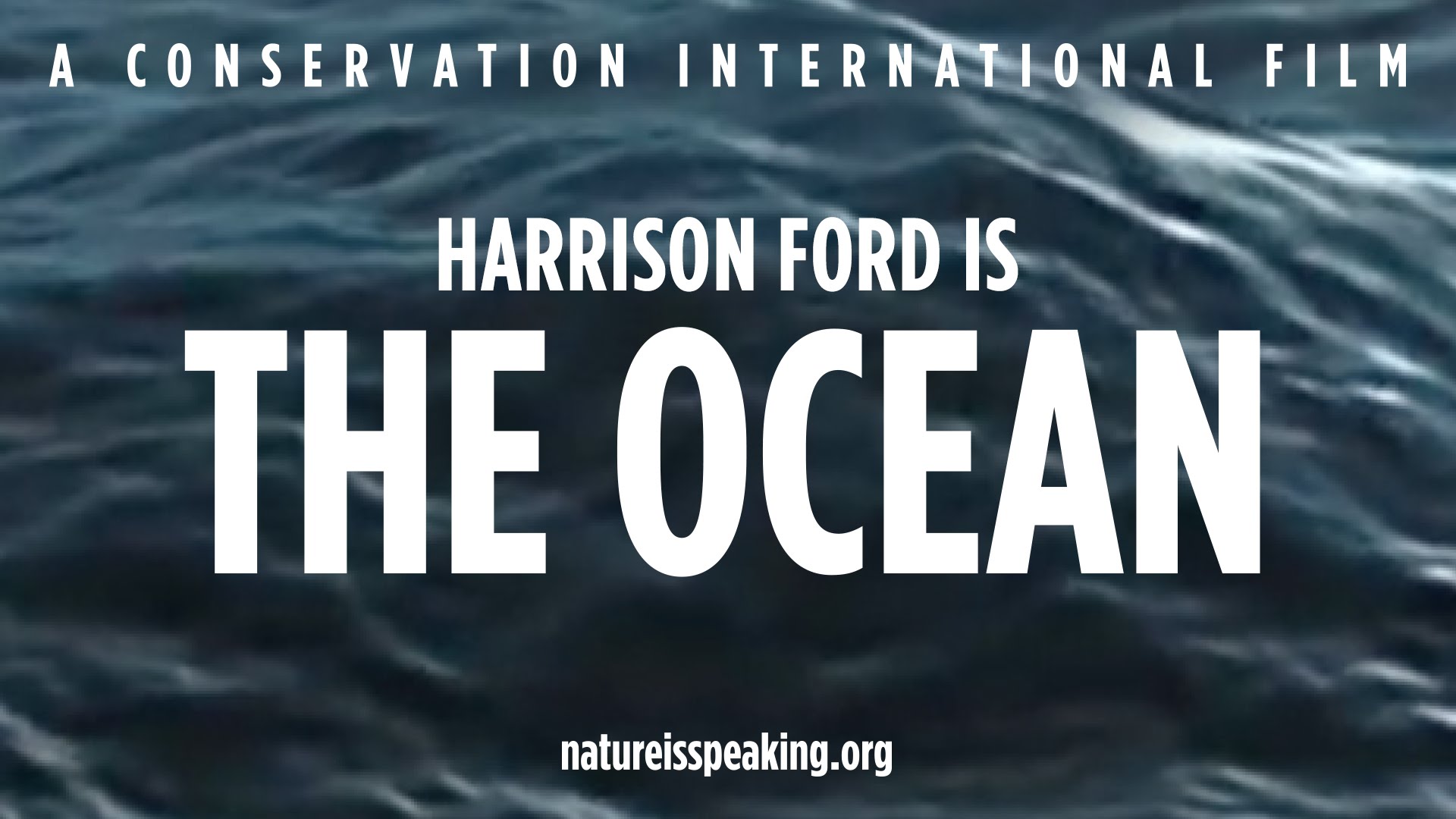 Conservation international harrison ford video #3